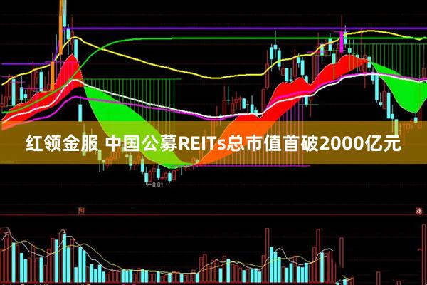红领金服 中国公募REITs总市值首破2000亿元
