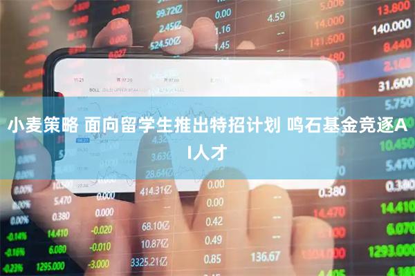 小麦策略 面向留学生推出特招计划 鸣石基金竞逐AI人才