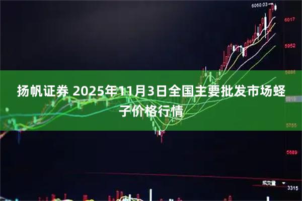 扬帆证券 2025年11月3日全国主要批发市场蛏子价格行情